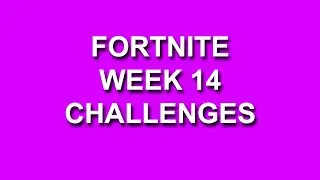 Fortnite Chapter 2 Season 5 Week 14 Challenges