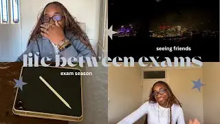 life between study sessions
