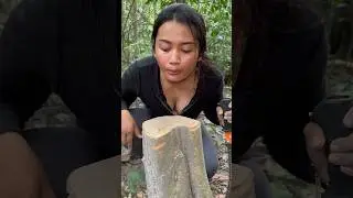 Cut the tree stump#camping #outdoors #survival #forest #lifehacks #shorts #youtubeshorts