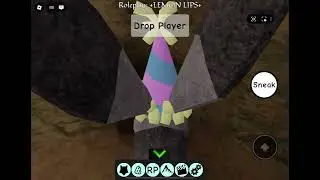 How to Find the “Void Room” in Roblox ALFRP