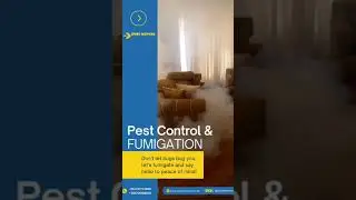 Cube Movers Limited | Nairobi Kenya's best Pest Control | Pest Control & Fumigation in Nairobi