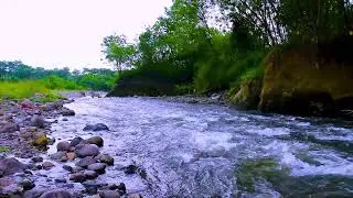 Mountain River Flowing Water Sounds for Deep Sleep, Natural White Noise for Peaceful Nights