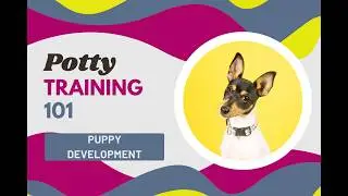 Puppy Development