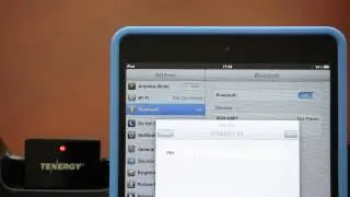 Полностью аккумуляторный | Мини-аудиоприемник Tenergy Bluetooth (адаптер Apple Dock 30-pin &mdash; Bluetooth)