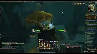 Fungal Folly Fishing Bug - How to fix it - World of Warcraft The War Within