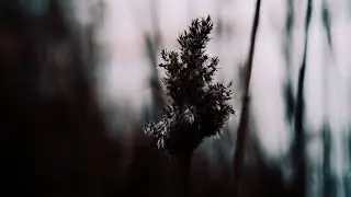 A Long Way Down To Hell.