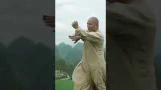 Shaolin Master Shifu Yanpeng's Wing Chun punches | Shaolin Temple Yunnan