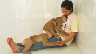Lovely Little Kako Luna And Olly Hugging Mom For Nap Routine