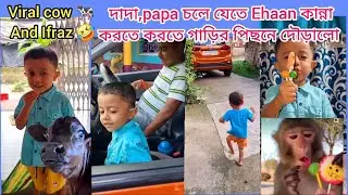 Ifraz দাদা আর papa চলে যেতে Ehaan কাঁদতে কাঁদতে গাড়ির পিছনে ছুটছে| viral cow vs Ifraz #youtubevideo