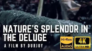 Capturing Rainy Moments 4k : Nature's Splendor in the Deluge - Film by Durjoy