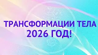 Трансформации тела в 2026 году! Что важно знать?