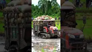 Yanmar Tractor Fights Deep Mud with Full Load! 🌾 | Epic Rice Field Struggle #shorts #yanmar #tractor