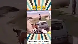 #livestream #turnipclub #livestreaming hdh #funny #startstreaming