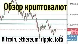 Обзор рынка криптовалют 24.01.18 Bitcoin, ethereum, ripple, iota. Стоит ли сейчас покупать крипту?