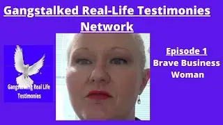 T.I. Testimony.  The  Courage of This Business Woman Gangstalked #targeted individuals #gangstalking