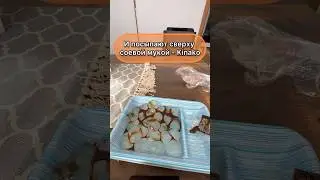 Обзор на необычный японский десерт - Warabi mochi (японская кухня, японские десерты)
