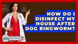 How Do I Disinfect My House After Dog Ringworm? - Ask A Pet Vet
