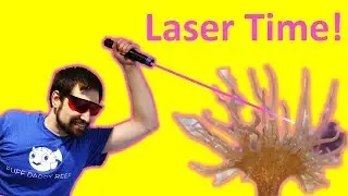 😎 Испаряем айптазию лазерами! (Wicked Lasers S3 Spyder 3 Arctic)