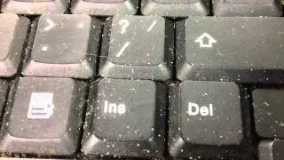 Mites living in a laptop