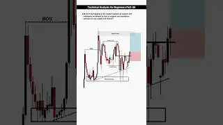 How Institutions Use SR Levels to Trap Retail Traders | TA 36