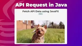 Как подключиться к API с помощью JavaFX | API для собак