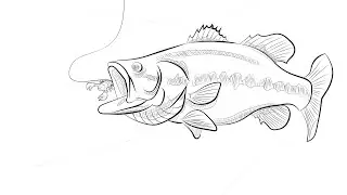 What is PowerBait? Everything You Need To Know