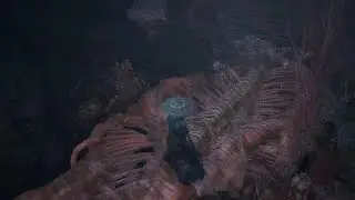 WUCHANG: Fallen Feathers Honglan 2nd Fight