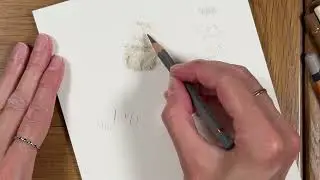 [ABC] How to Draw Realistic Cat Fur - Kitty Paw Tutorial