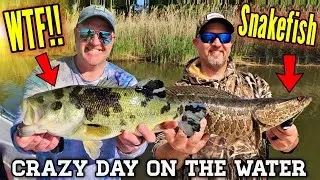 Caught a CRAZY Looking Rare Fish with Cellular Deformity (Melanosis) and SNAKEHEAD!!