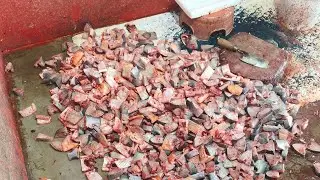 Daily fresh fish cutting & selling in Mrj. Gorakhpur ! रेगुलर मछली मार्केट महराजगंज। 