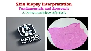 Skin Biopsy Interpretation | Dermatopathology Definitions Explained | Episode 2