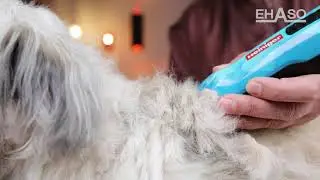 EHASO Aufsteckk&auml;mme, zum individuellen Einsatz im Salon oder f&uuml;r Zuhause!