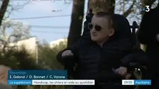 Le chien d'assistance, une aide pr&eacute;cieuse pour toutes les personnes en situation de handicap