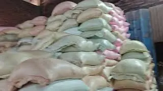 Bengali Muri Making Machine | Puffed Rice Machine | Muri Factory Process 9935199710