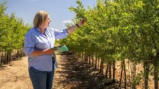 Why is UC Davis Ag Research Important?