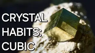 HABIT TUTORIAL: CUBIC