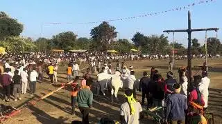 अचानक घोडा लाखोरी सावरी VS रामलालजी कटरे नागपूर- ३ नंबर चा खेळ |
