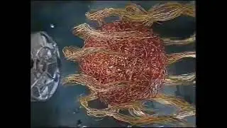 (Recreate) Disney Channel Ident International: Sun Cooler (1999-2003)