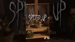 past lives spede up