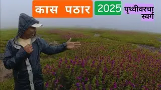 Kaas Pathar 2025 | कास पठार सातारा | पृथ्वीवरचा स्वर्ग |
