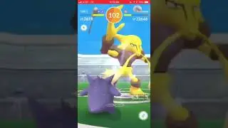 Alakazam solo foggy 68