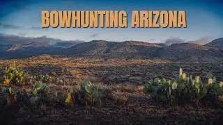 Chasing Bucks in the Arizona Desert
