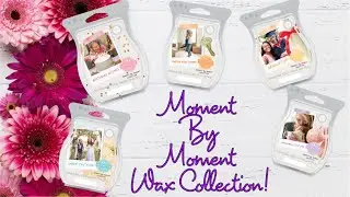 The Moment By Moment Wax Collection