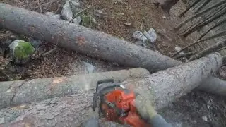 Limbing and cutting logs