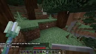 Corruption SMP Dragon Fight Pog