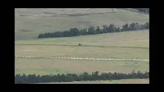 Ukrainian equipment reached the dragon's teeth
