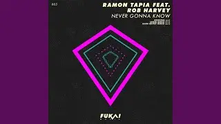 Never Gonna Know (Lexer Remix)
