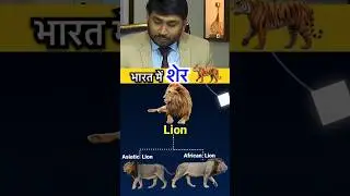 भारत में शेर कहा मिलता है | Gir National park india only national park for Asiatic Lions #shorts