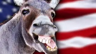 SourceFed Explains The History of The Democratic Party