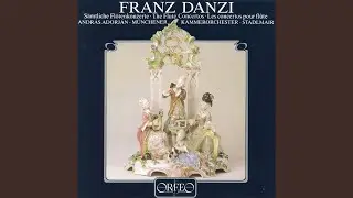 Flute Concerto No. 3 in D Minor, Op. 42: I. Allegro